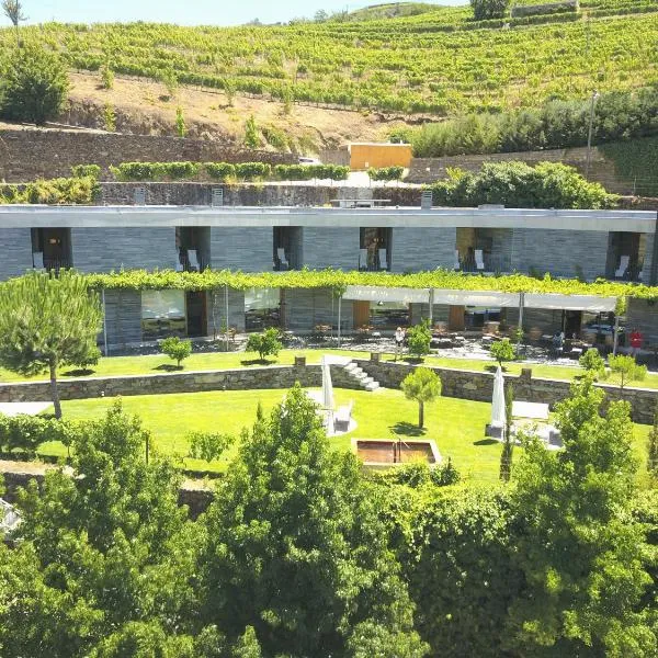 Quinta do Vallado Wine Hotel，位于弗格萨的酒店