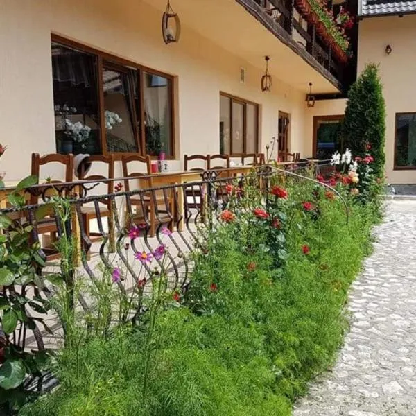 Pension Steaua Ariesului，位于阿尔巴克的酒店