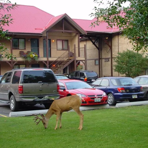 阿斯彭村庄酒店，位于Mountain View的酒店