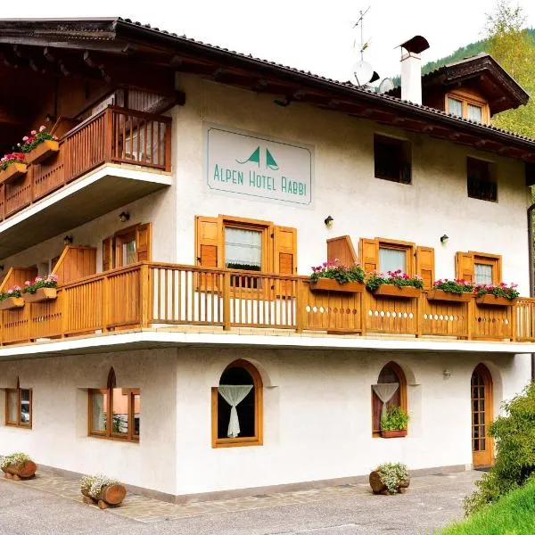 Alpen Hotel Rabbi，位于拉比的酒店