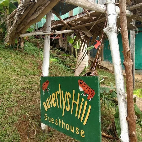 Beverly's Hill Guest House，位于博卡斯德尔托罗的酒店