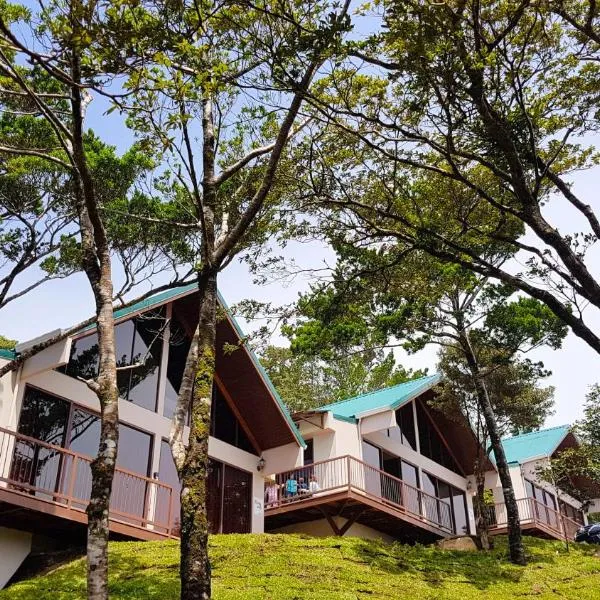 Green Forest Rustic Houses，位于蒙泰韦尔德哥斯达黎加的酒店