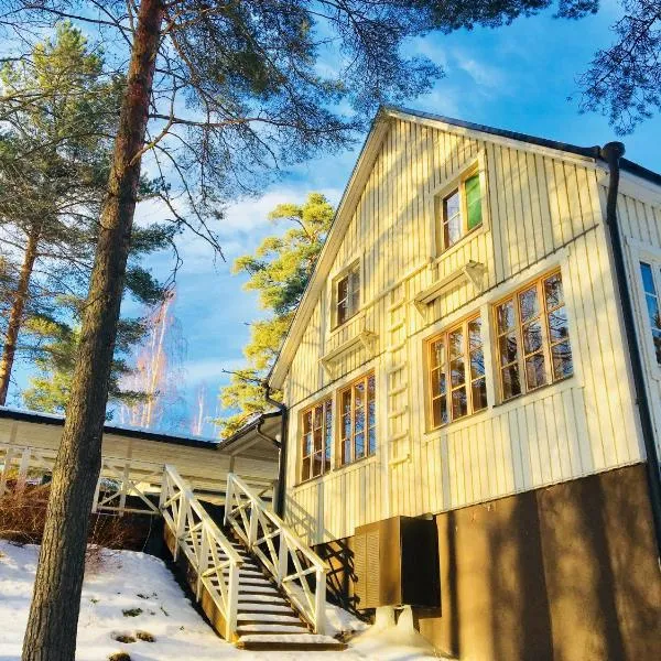 Salonsaaren Lomakylä，位于韦克叙的酒店