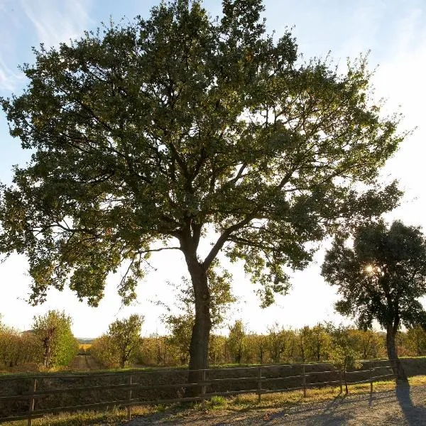Agriturismo Lucerna del Lago Prile，位于卡斯蒂里昂纳·德拉佩的酒店