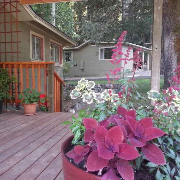 China Creek Cottages，位于Willow Creek的酒店