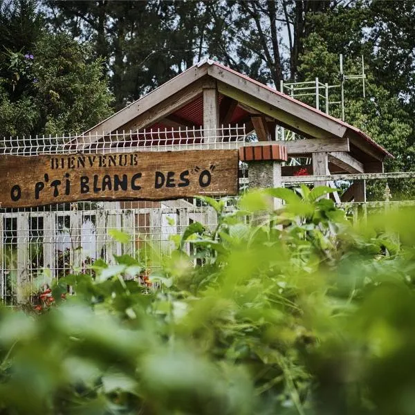 le p'ti blanc des "o"，位于萨拉济的酒店