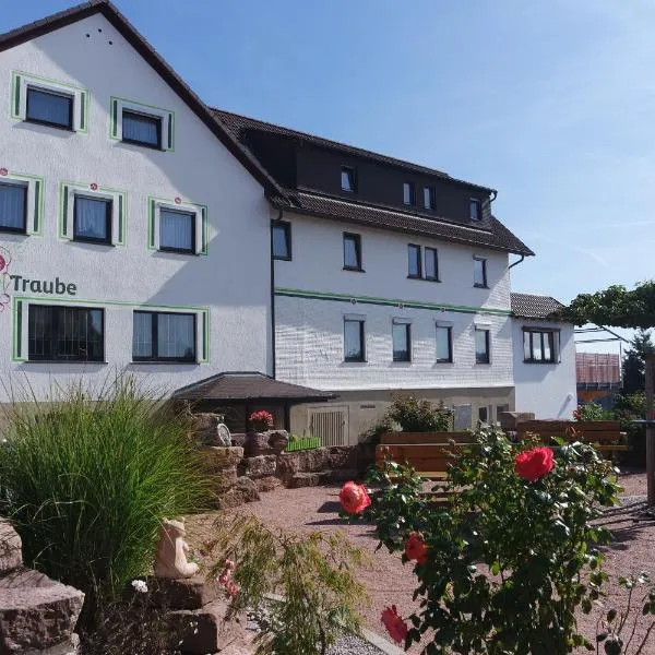 Landhotel Traube，位于Pfalzgrafenweiler的酒店