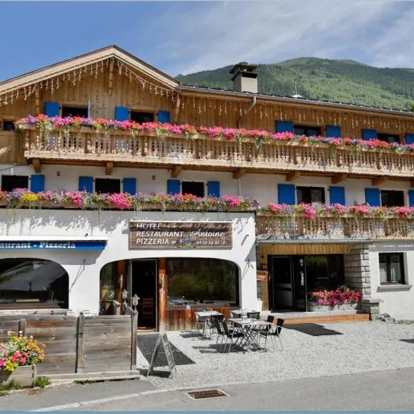 圣安托尼酒店，位于Les Praz-de-Chamonix的酒店