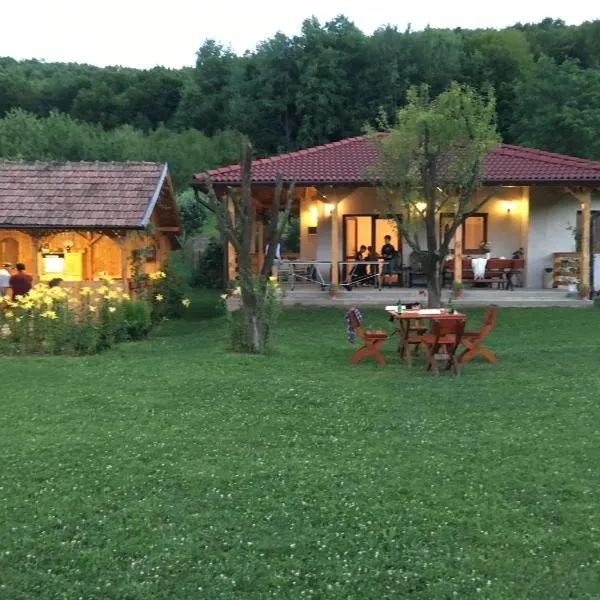 Căsuța de sub pădure，位于Şard的酒店