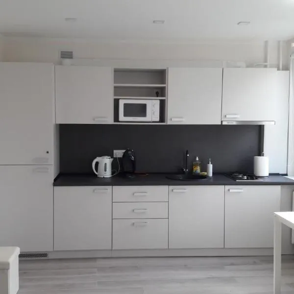 Anykščiai Center Apartment，位于阿尼克什奇艾的酒店