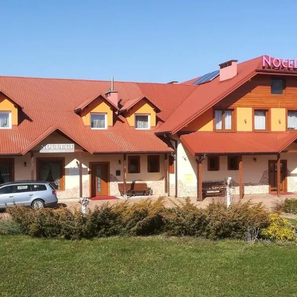 Nocleg Hotel Nad Stawami，位于Czermna的酒店