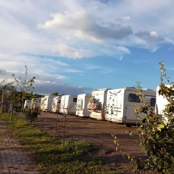 Camp Salaš Farma 47 Čenej,位于Čenej的酒店