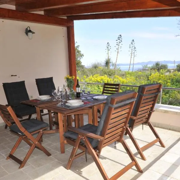 The House Aunt Regina，位于Dragove的酒店