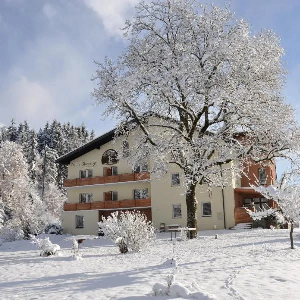 Villa Blumegg，位于Jenig的酒店