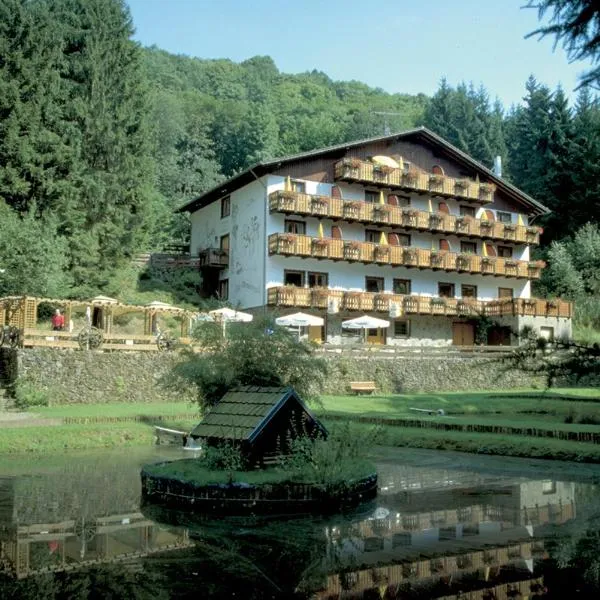 沃夫酒店，位于Neuheilenbach的酒店