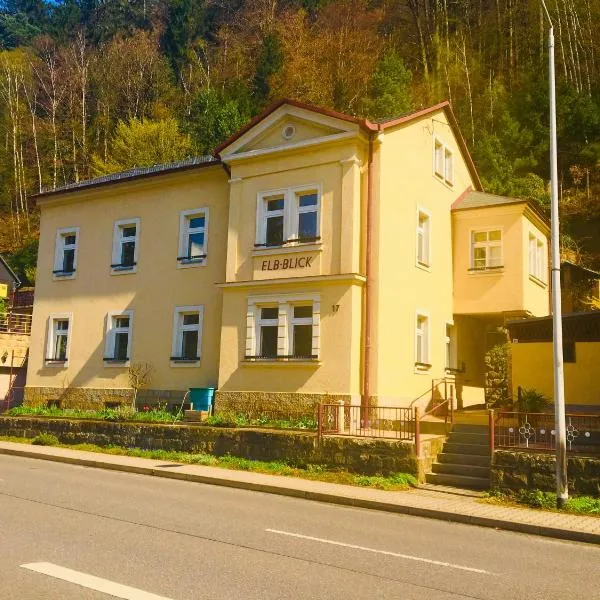 Apartmentshaus Elbblick Zimmer "Bergblick"，位于巴特尚道的酒店