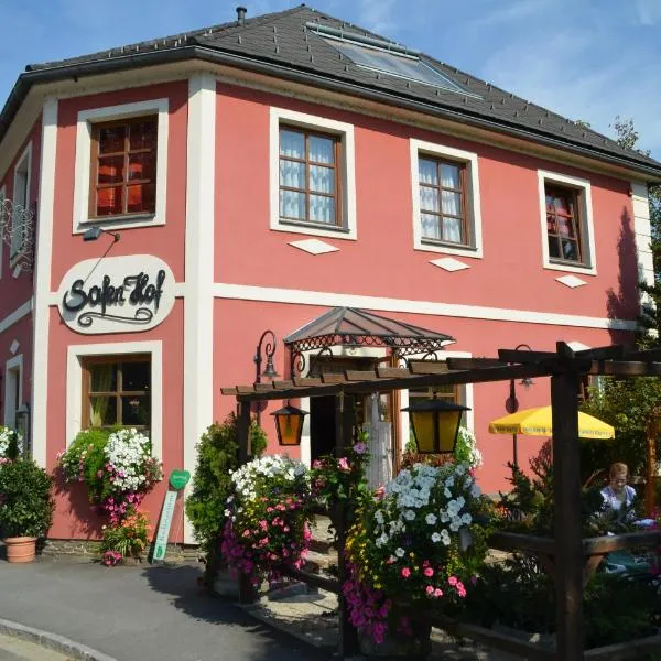 赛风豪夫宾馆，位于Grosssteinbach的酒店