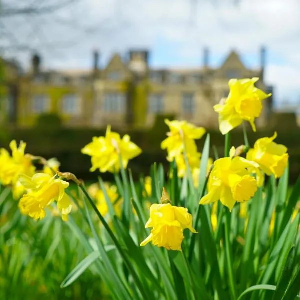 吉斯伯勒礼堂酒店，位于吉斯伯勒的酒店
