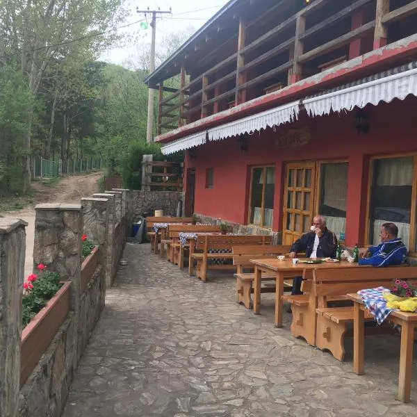 Kod Dace，位于Banja Topilo的酒店