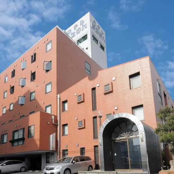 Hotel Hachiman，位于Yōkaichi的酒店