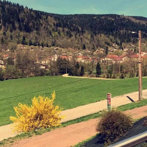 chalet vosgien，位于勒梅尼勒的酒店