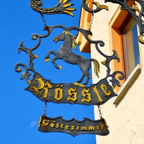 Hotel-Gasthof Rössle，位于Erbach的酒店