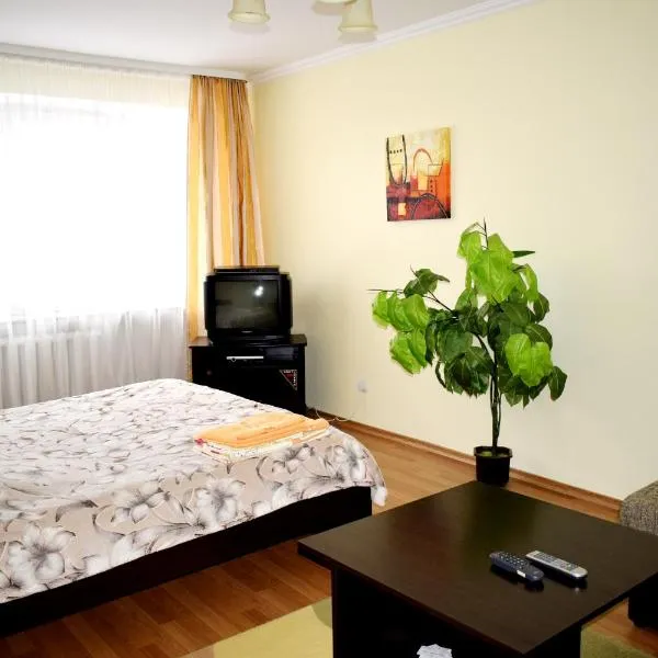 Apartment on Krushelnitskoy 73，位于Bila Krynytsya的酒店