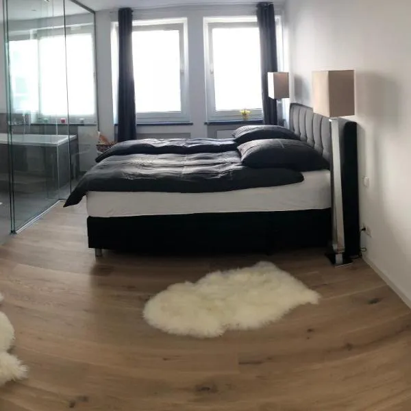 Apartment Central Würzburg，位于Güntersleben的酒店