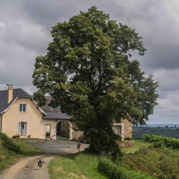 Pesaulhé，位于Lucq-de-Béarn的酒店