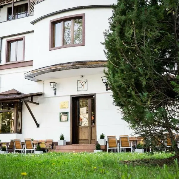 Nest，位于Schitu-Topolniţei的酒店