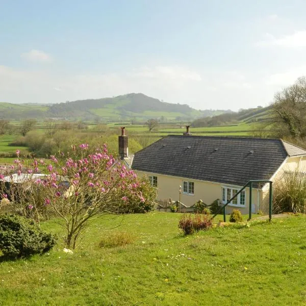 Bryn Hebog，位于Llanddarog的酒店