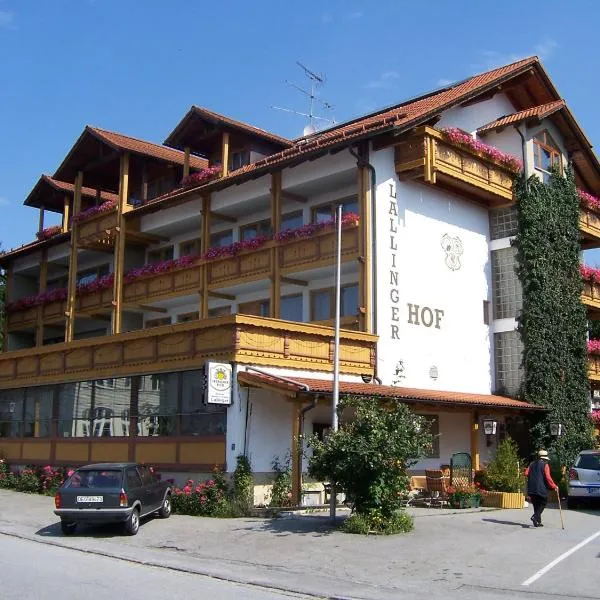 Lallinger Hof，位于Unterlangfurth的酒店