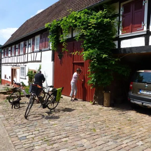 Feriengaleriewohnung Im Denkmal Stilvoll-Komfortabel Baubiologisch，位于Nothweiler的酒店