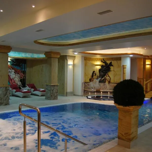 特洛法纳康体及SPA酒店，位于米兹多洛杰的酒店