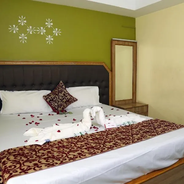 Hotel Vijay，位于Dhali的酒店