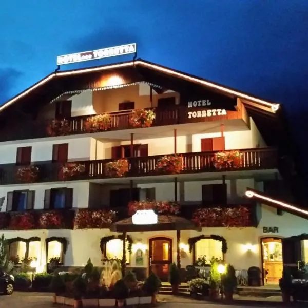 Hotel Torretta，位于帕奈维焦的酒店