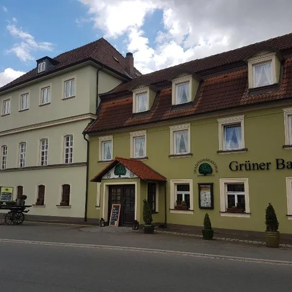 Traditionsgasthof Grüner Baum，位于Schönbrunn的酒店