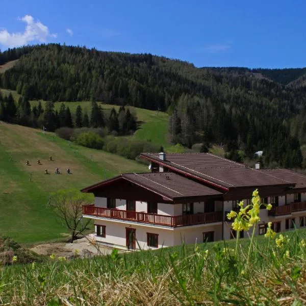 Hotel Studničky，位于Vikartovce的酒店