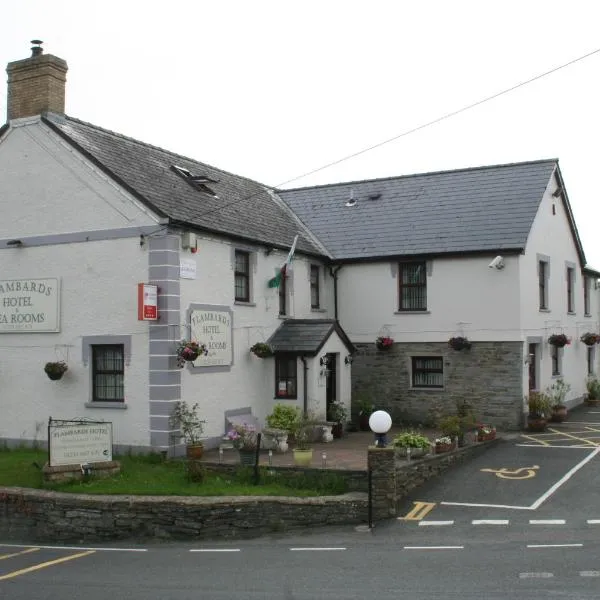 Flambards Hotel，位于Eglwyswrw的酒店