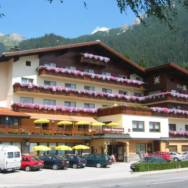 Alpenhotel Edelweiss，位于延巴赫的酒店