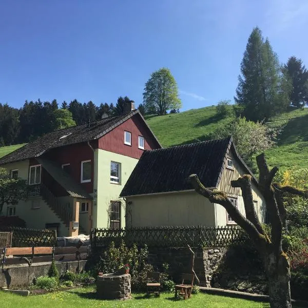 Platell Ferienhäuser Harz Lerbach，位于Lerbach的酒店