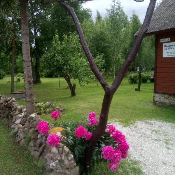 Kalamehe Farmstay，位于Alatskivi的酒店