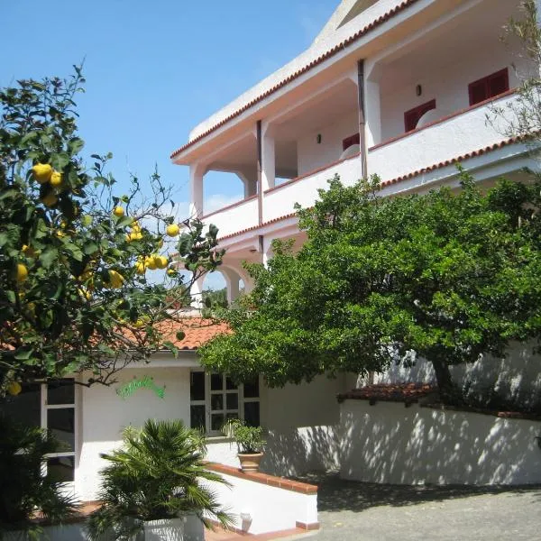 Albergo Villa Verde，位于帕利努罗的酒店