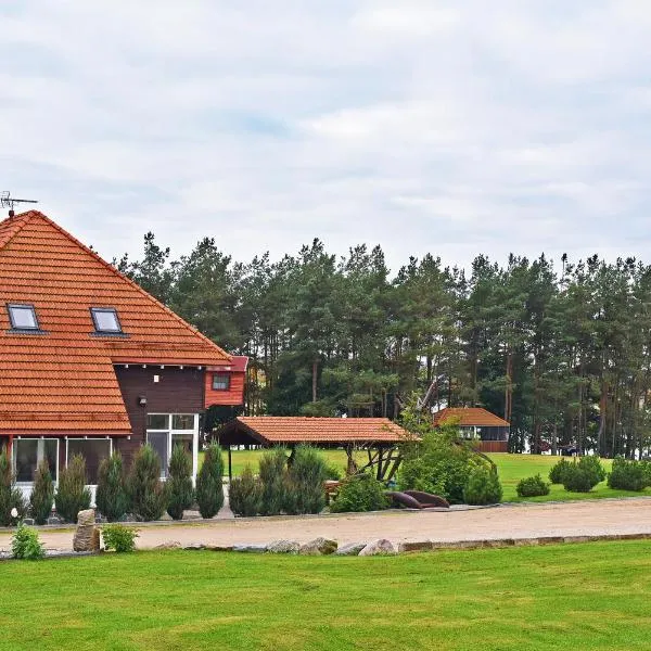 Sodyba Pas Drambliuka，位于Leliūnai的酒店