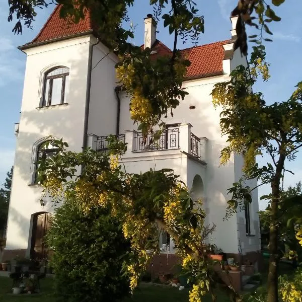 Villa Liduška s kavárnou，位于伏尔塔瓦河畔蒂恩的酒店