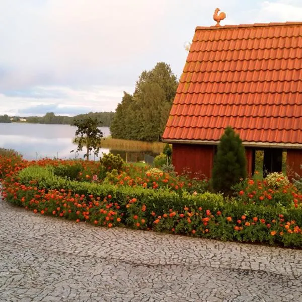 Agroturystyka，位于科希切日纳的酒店