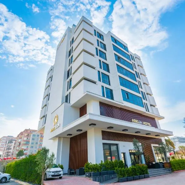 Aselia Hotel Trabzon，位于Karaca的酒店