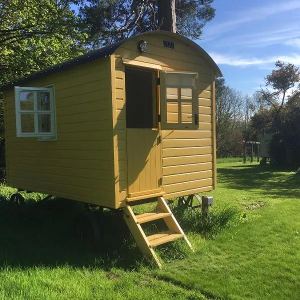 Blackstairs Shepherds Huts，位于Ballynakill的酒店