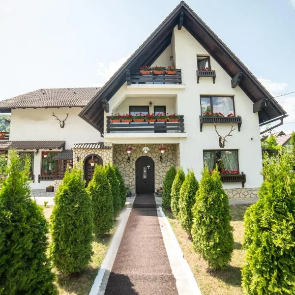Bran Chalet，位于Drumu Carului的酒店