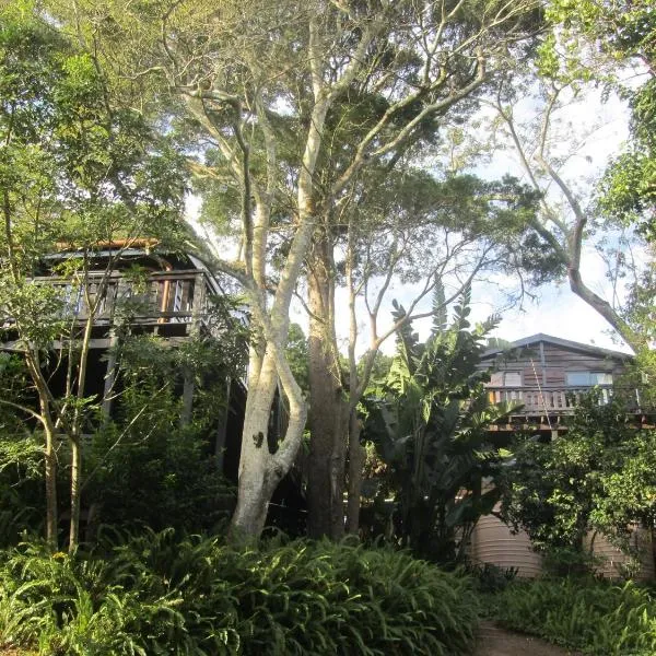 Treehouse Cottage，位于自然谷的酒店